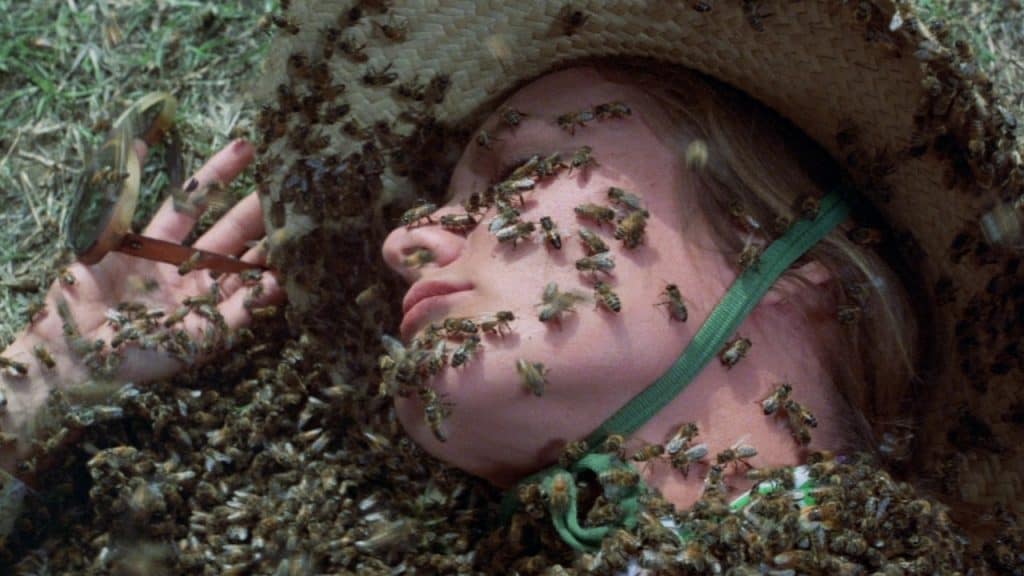 10 melhores filmes com abelhas, aranhas e outros insetos assassinos