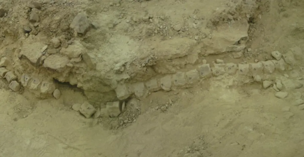 Fóssil da era dos dinossauros indica existência de antigo oceano no Oriente Médio