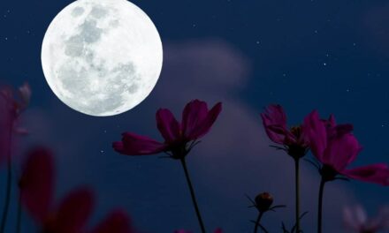 “Lua Rosa” tem início nesta terça-feira (23); o que significa isso?