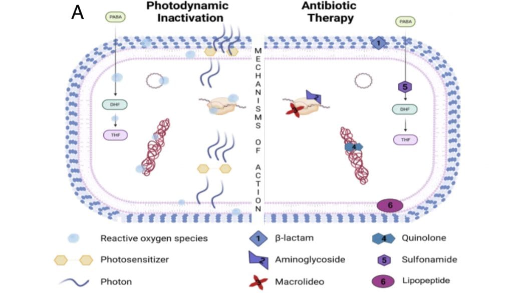 Tratamento com luz pode ser a “kriptonita” das bactérias resistentes