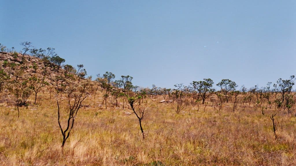 Paisagem do cerrado no Brasil