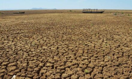 Região brasileira pode se tornar (quase) um deserto em breve