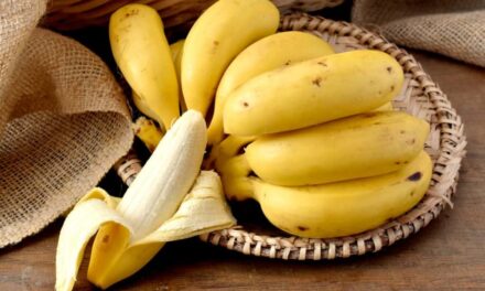 Bananas são radioativas, mas você não precisa parar de comê-las; entenda
