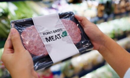 Cuidado ao fazer a troca: carne vegetal também traz riscos à saúde; entenda