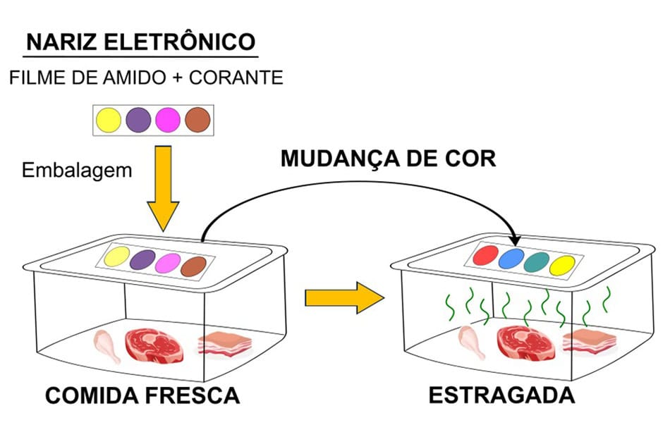 Na dúvida se a comida na geladeira está estragada? Invenção brasileira é a solução