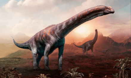Quais os maiores dinossauros que existiram?