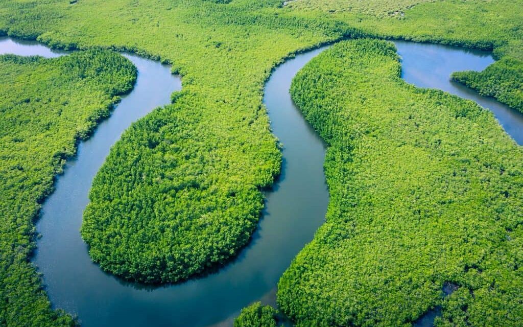 Água da Amazônia corre risco — e já matou mais de 200 botos