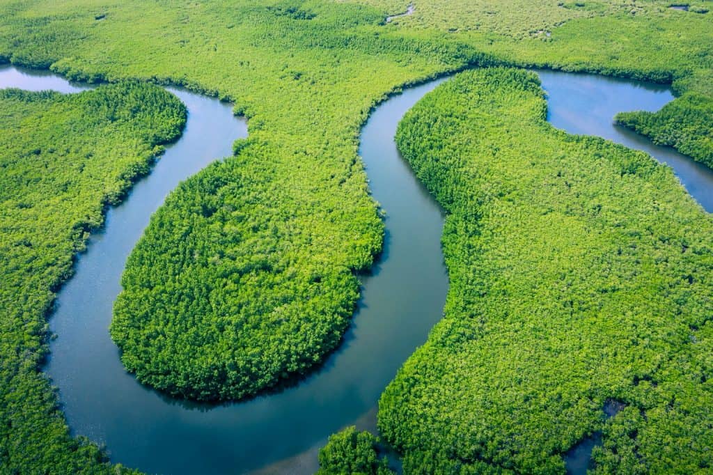 fibra ótica amazônia