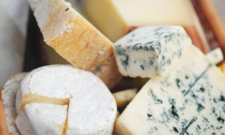 Alguns queijos brasileiros podem te proteger contra doenças; entenda