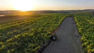 Cosan lidera a construção do futuro sustentável do Brasil