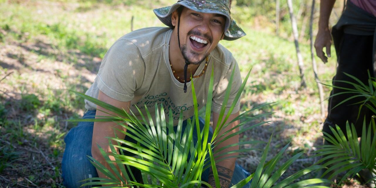 Agroforestry Carbon capta R$ 1,1 milhão pela Arara Seed 