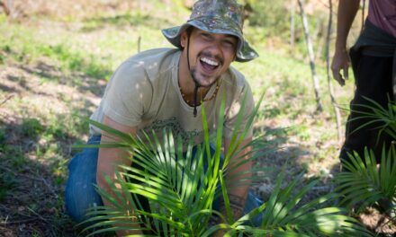 Agroforestry Carbon capta R$ 1,1 milhão pela Arara Seed 