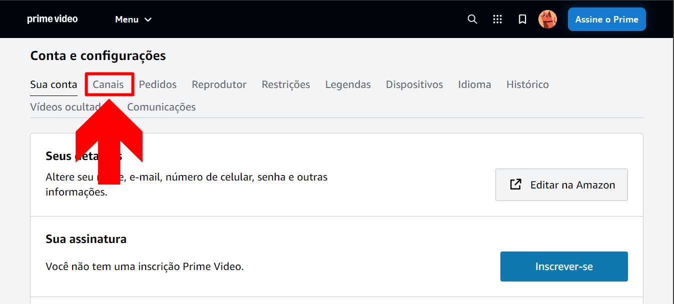 imagem mostra o setor de canais assinados no perfil do prime video