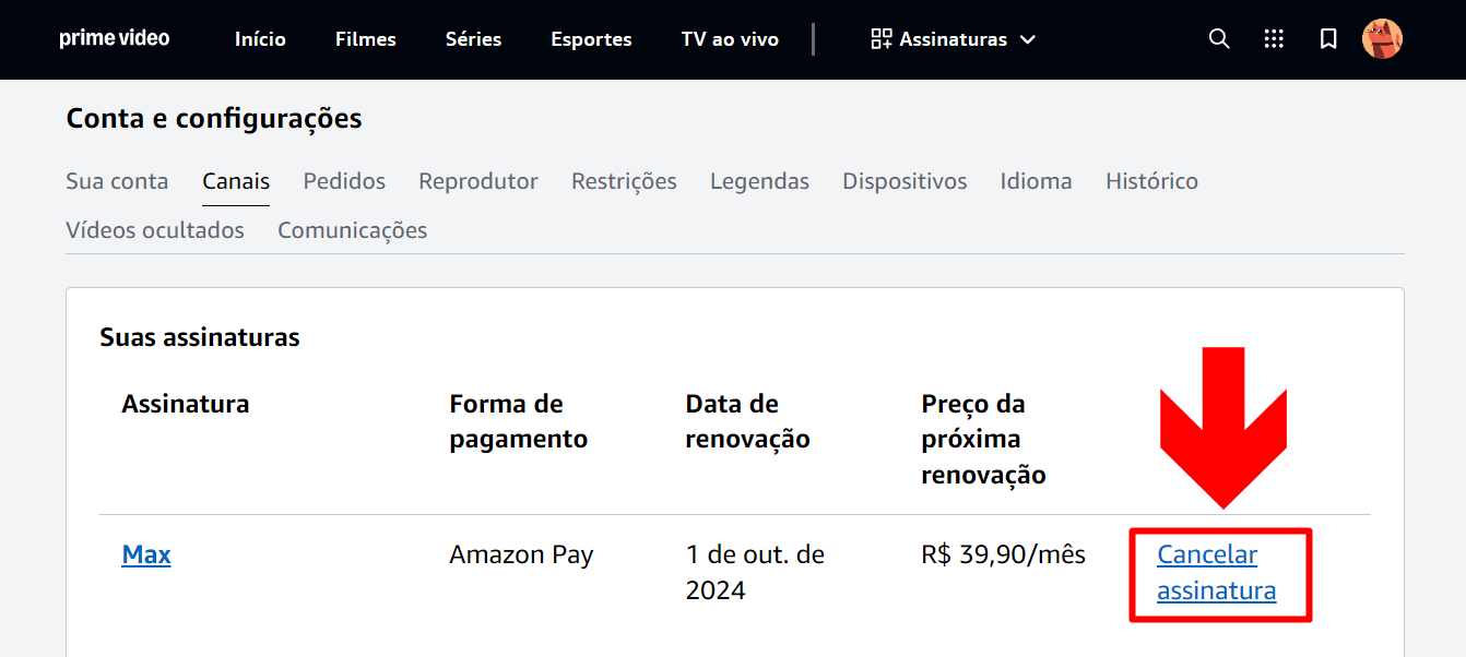 imagem mostra os canais assinados em uma conta do prime video