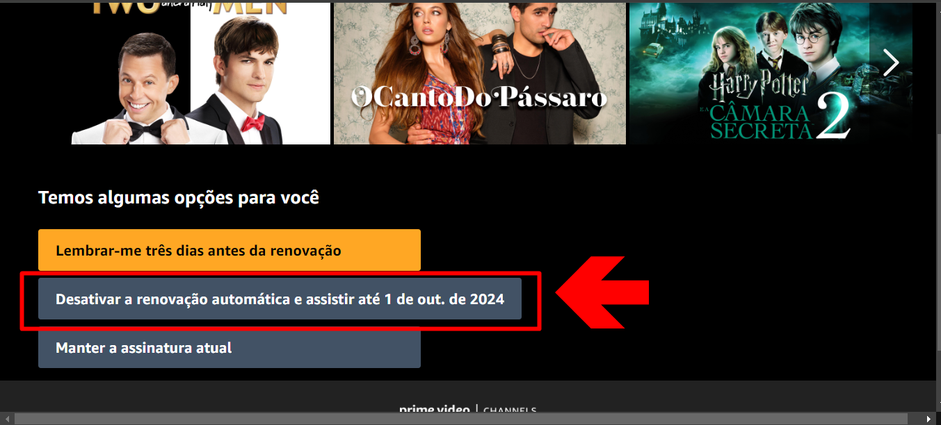 imagem mostra o botão de confirmação para cancelar assinatura de canal no prime video