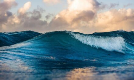 Cidade brasileira reconhece ondas como seres vivos; entenda o motivo