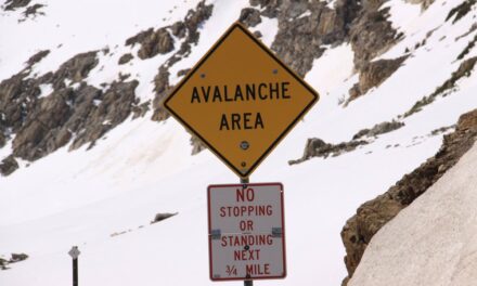 Chances de sobreviver a avalanche aumentaram nos últimos anos, revela estudo