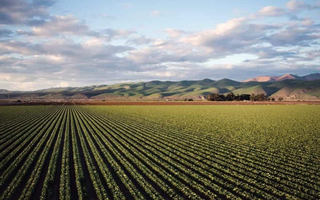 O Agro brasileiro não está pronto para tecnologias do Vale do Silício. Será?