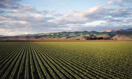 O Agro brasileiro não está pronto para tecnologias do Vale do Silício. Será?