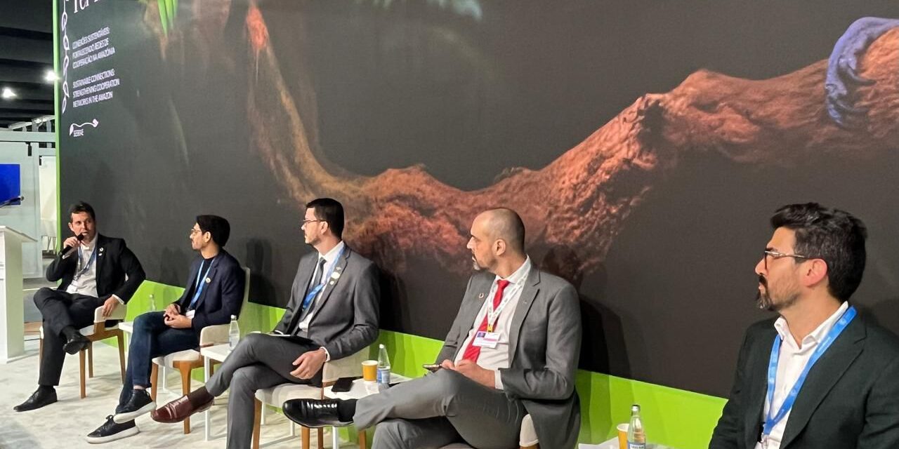 Centro Sebrae de Sustentabilidade é destaque durante painel na COP-29