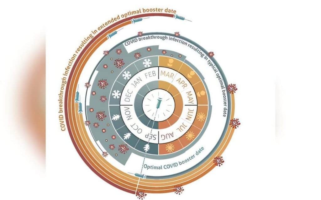 Quando tomar reforço vacinal da Covid-19? Ciência revela momento ideal