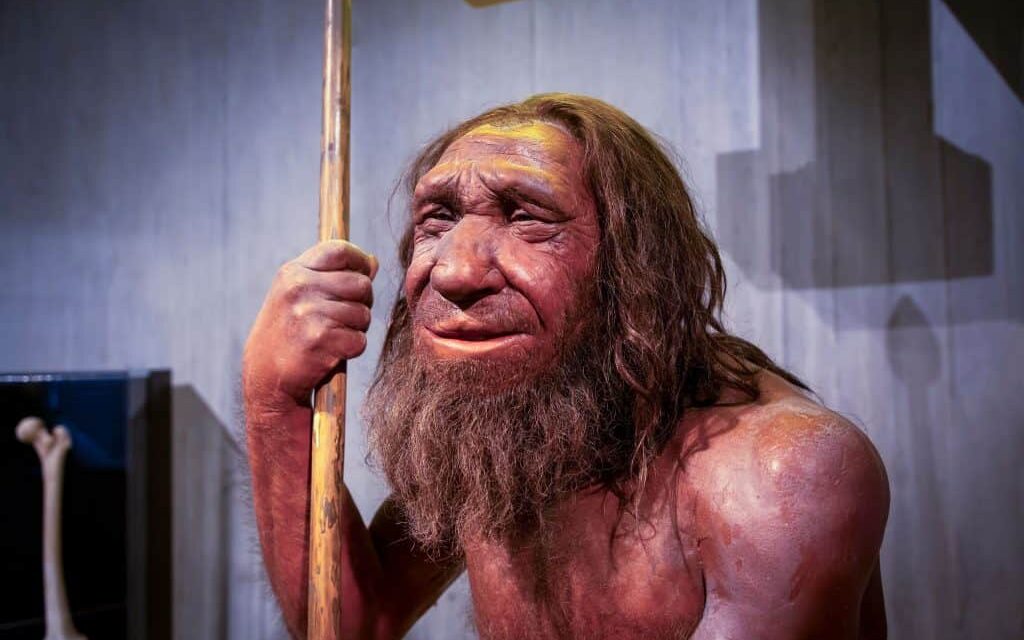 Neandertais ou Homo Sapiens: qual dos humanos é mais evoluído?