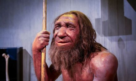 Neandertais ou Homo Sapiens: qual dos humanos é mais evoluído?