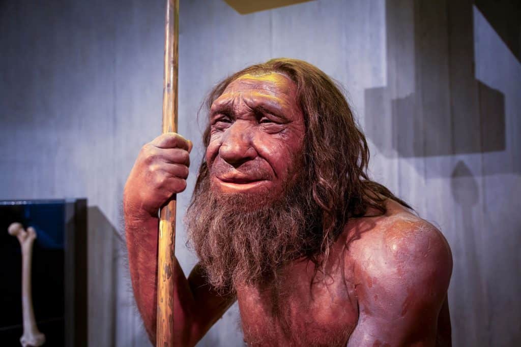 Imagem mostra como seria um Neandertal