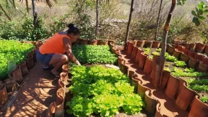 Invisíveis, os quintais são instrumentos poderosos contra a fome no Brasil