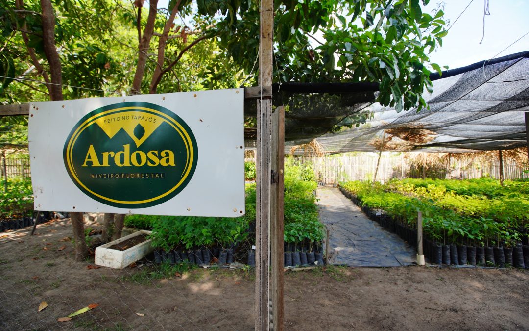 Municípios do Baixo Amazonas, no Pará, concentram iniciativas do Sebrae para impulsionar negócios sustentáveis