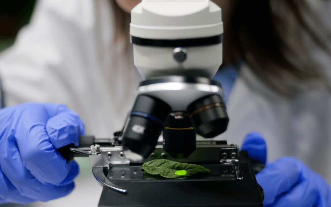 Adeste participa de investimento de US$ 10 milhões na biotech Nintx