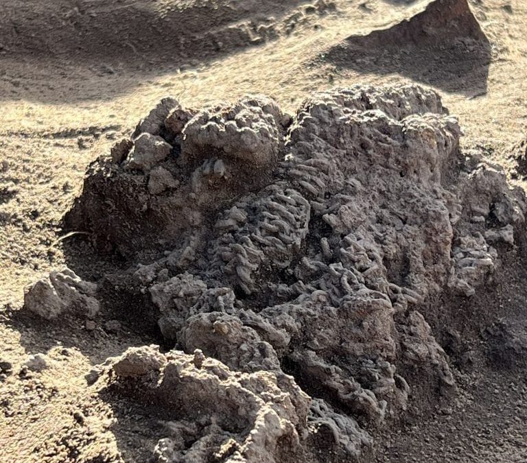 Mais de 100 armas da Idade do Ferro são encontradas na Dinamarca