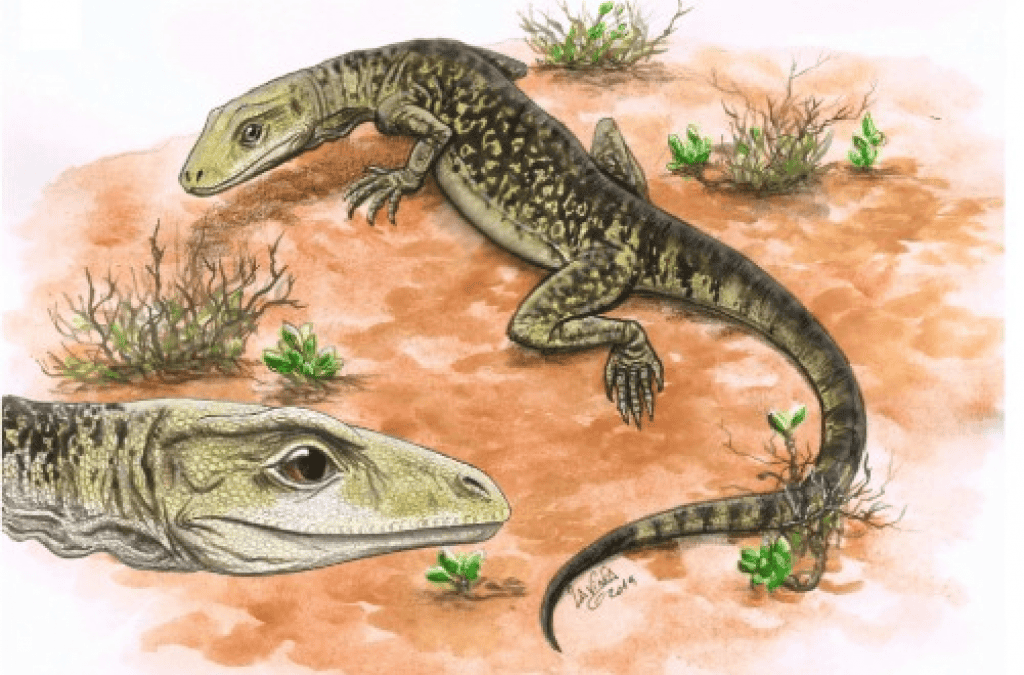 Lagarto “polêmico” é confirmado como o mais velho do mundo; veja idade