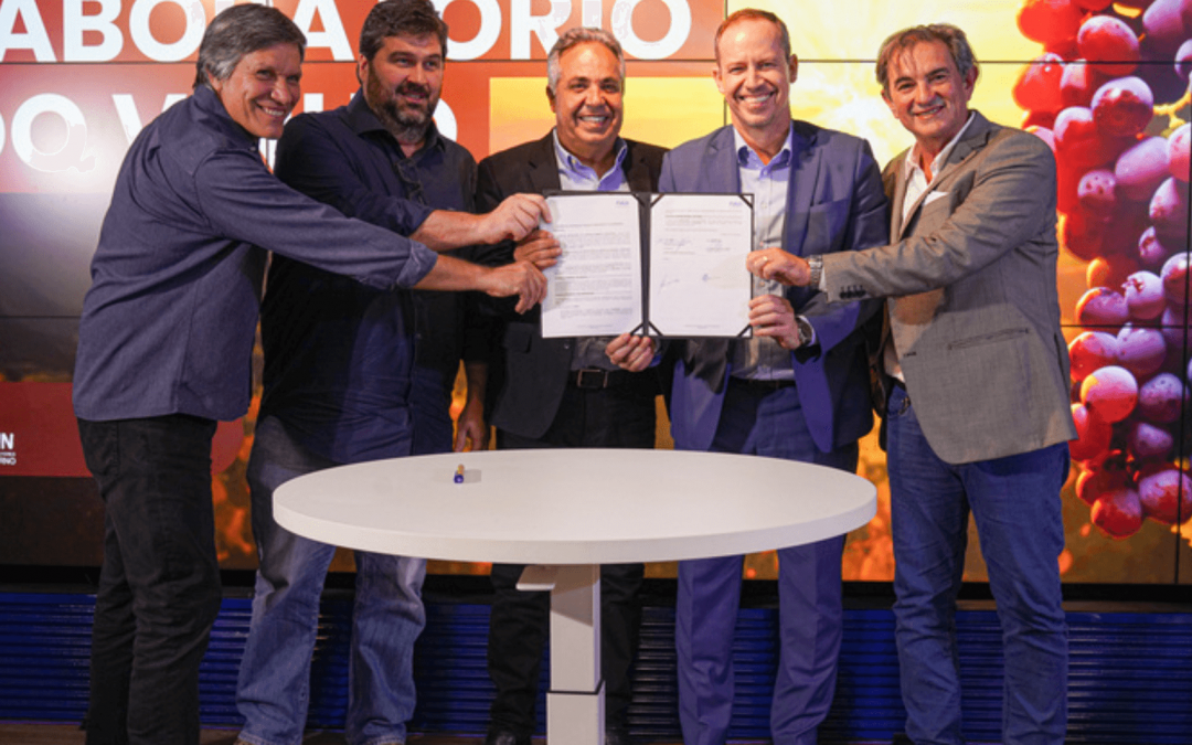 Laboratório de vinhos no DF busca fortalecer mercado com inovação e certificação