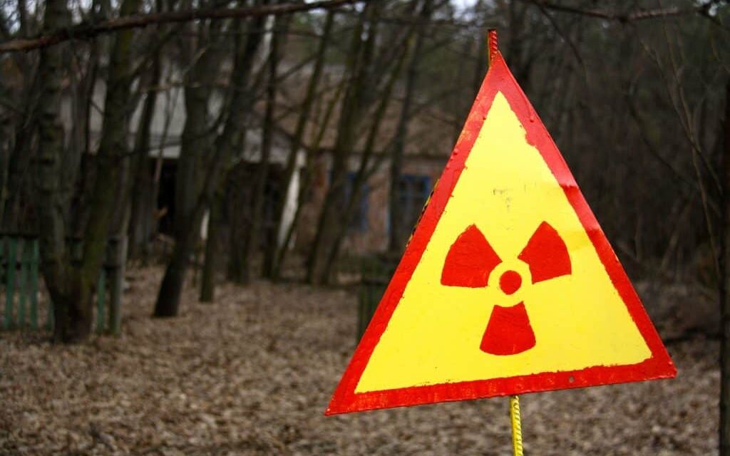 Sapos com superpoderes: entenda por que os anfíbios de Chernobyl não sofrem tanto com a radiação