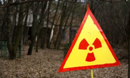 Sapos com superpoderes: entenda por que os anfíbios de Chernobyl não sofrem tanto com a radiação