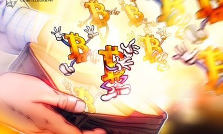 Carteiras de Bitcoin com pelo menos US$ 100 estão perto de máximas históricas, aponta Binance